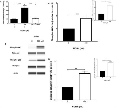 Notoginsenoside R1, a metabolite from Panax notoginseng (Burkill) F.H.Chen, stimulates insulin secretion through activation of phosphatidylinositol 3-kinase (PI3K)/Akt pathway